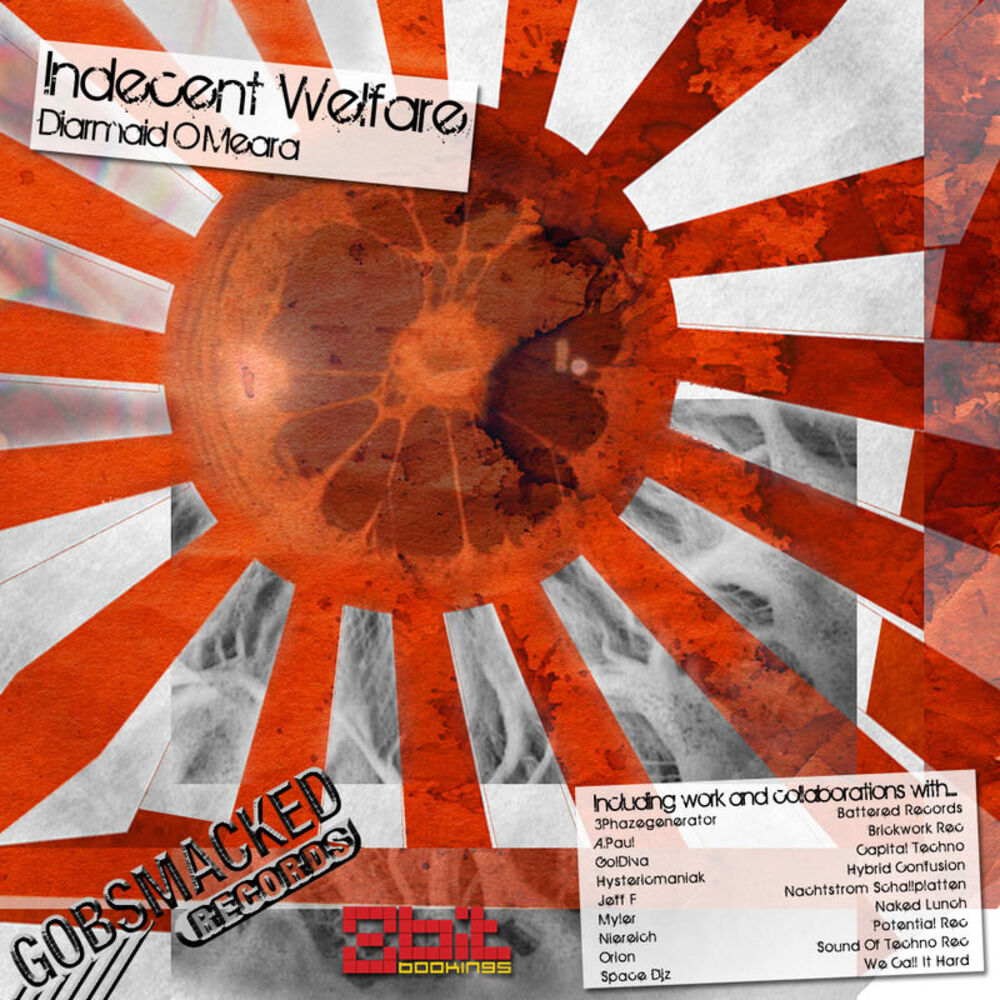 Picture of Indecent Welfare