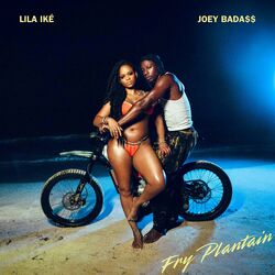 Cover of Fry Plantain
