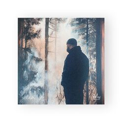 Cover of Selavi