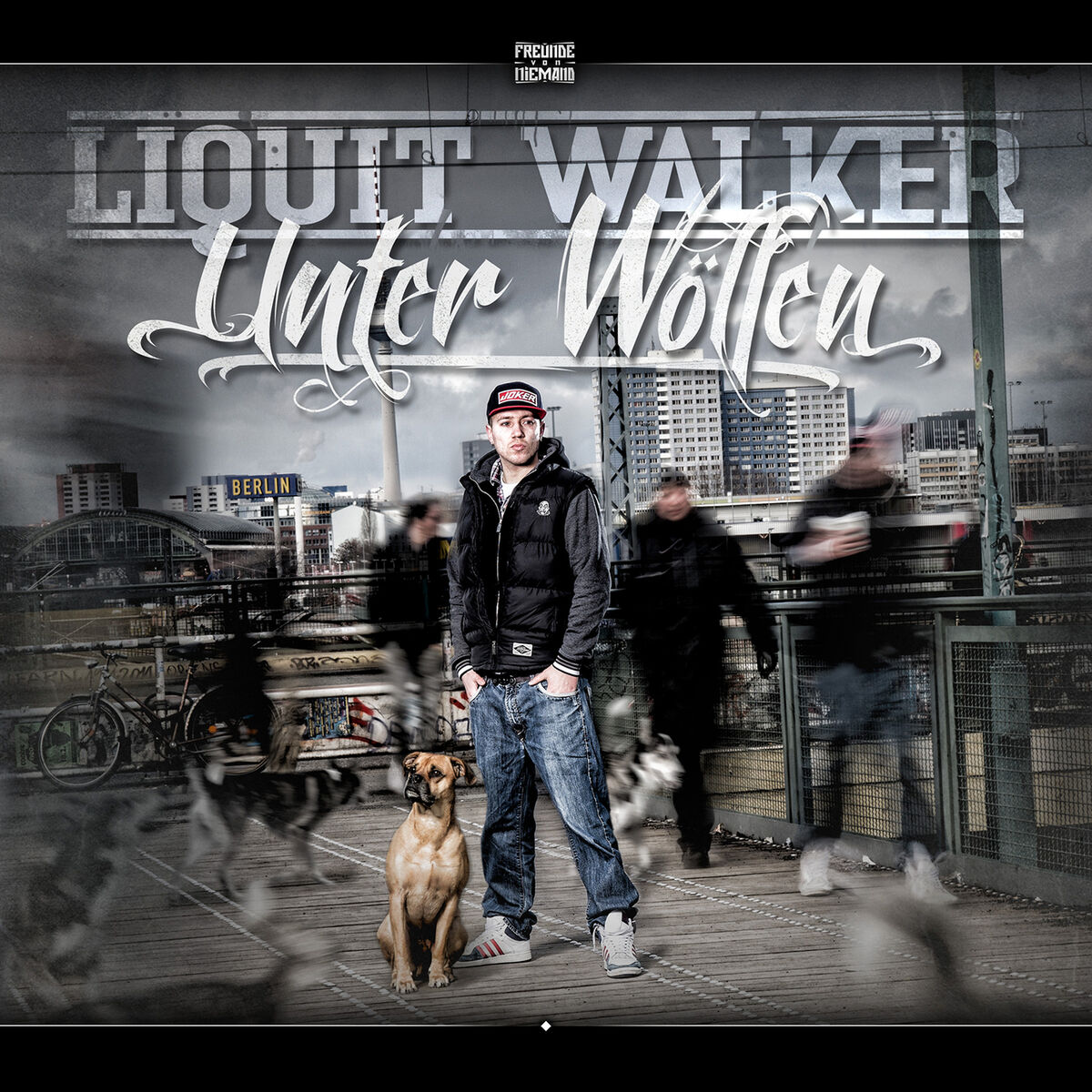 Album cover of Unter Wölfen