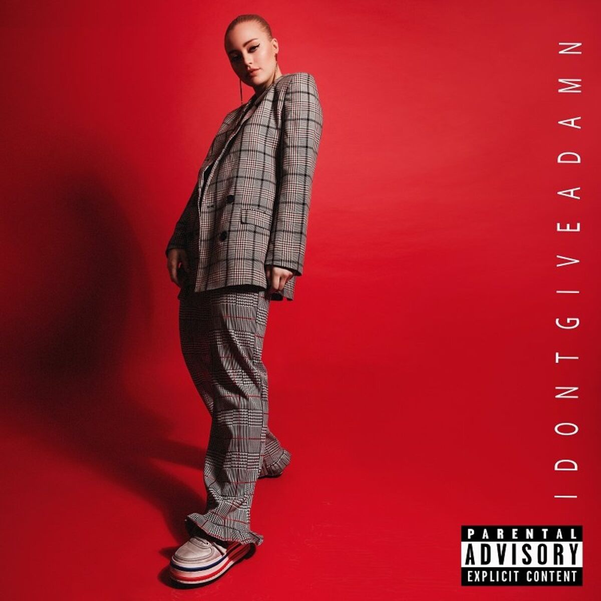 Album cover of I Don’t Give a Damn