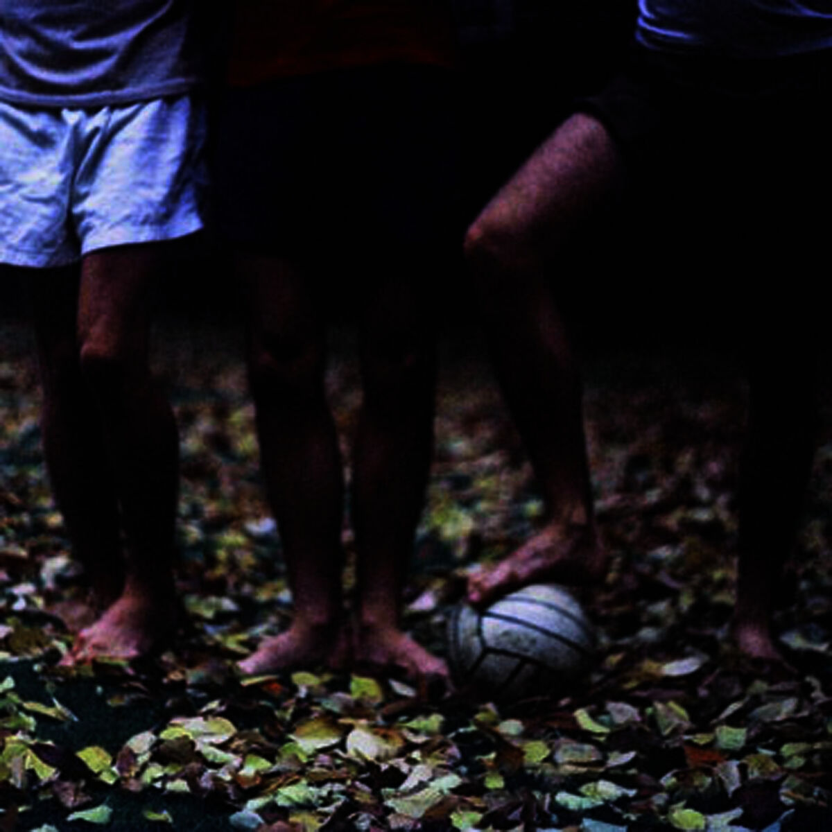 Album cover of The Boggs