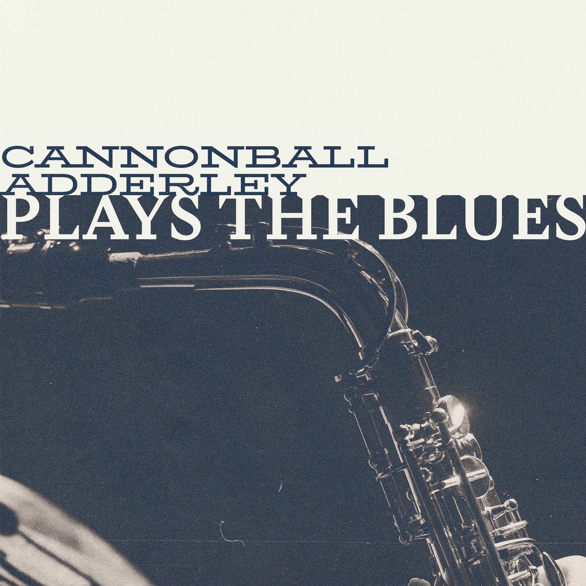 Album cover of Plays the Blues