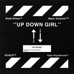Cover of Up Down Girl