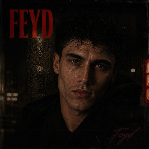 Feyd sleeve