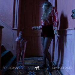 Cover of Bogeyman