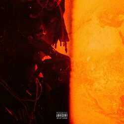 music cover