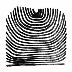 Cover of Howl