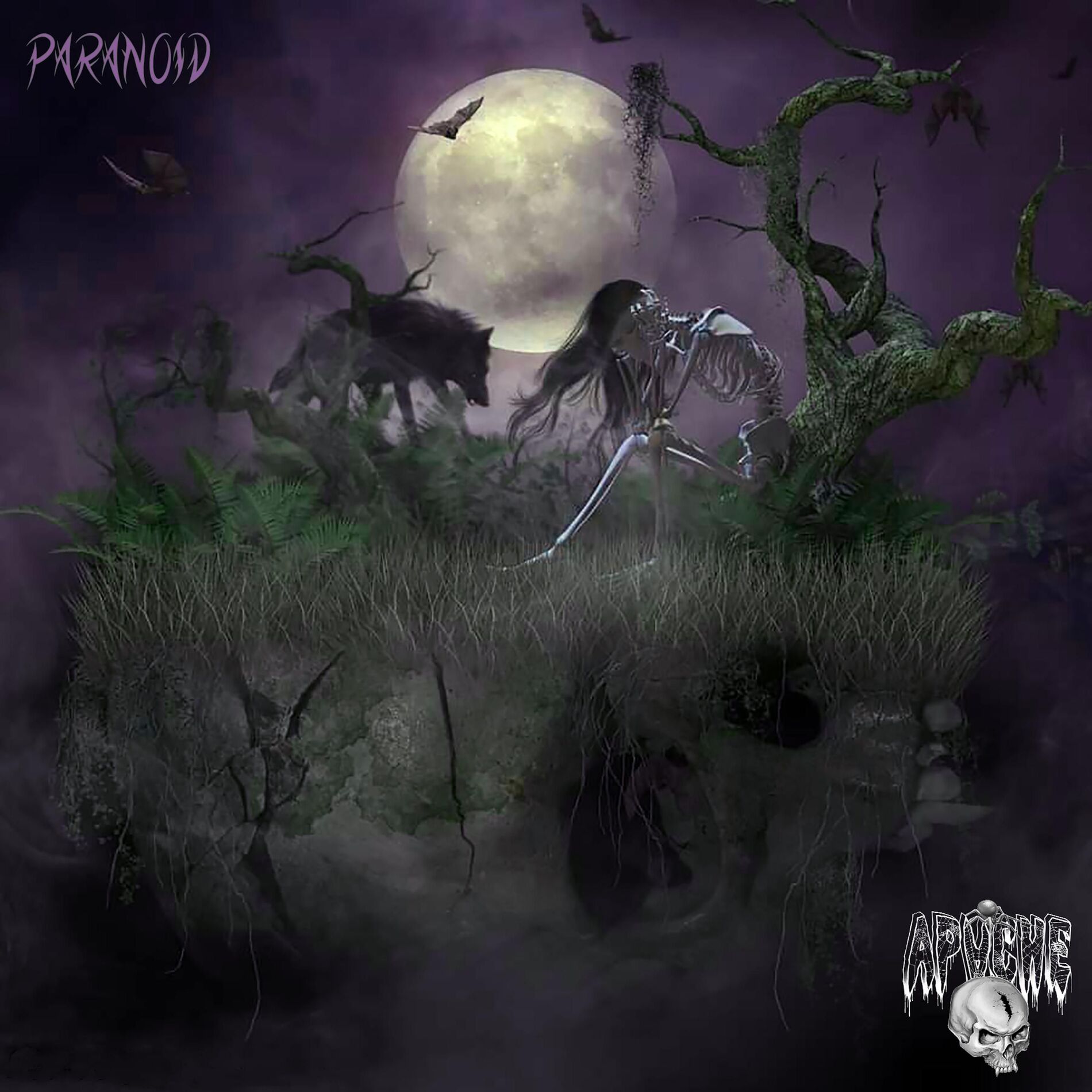 Album cover of paranoid