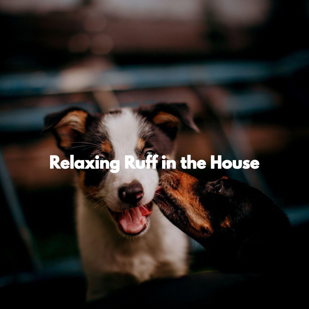 Picture of Relaxing Ruff in the House