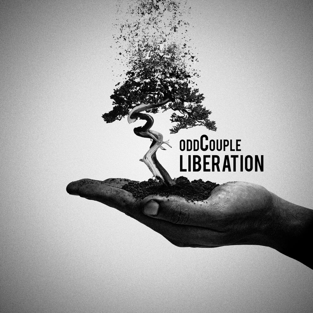 Picture of Liberation