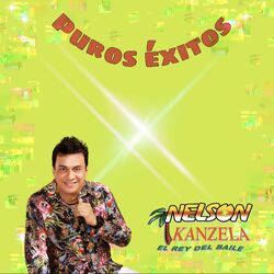 Cover of Puros Éxitos