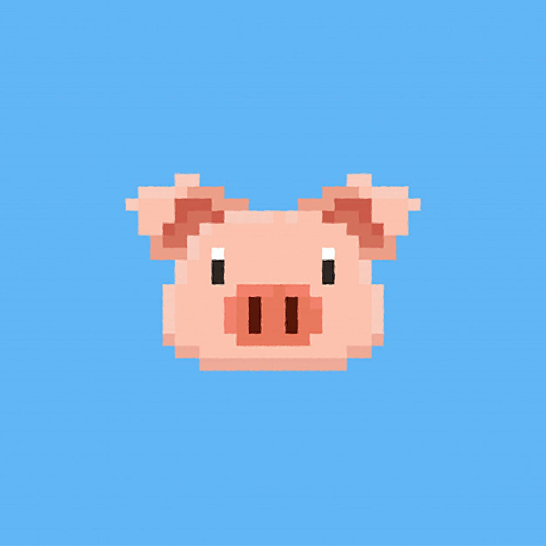 Album cover of Pixel Pig