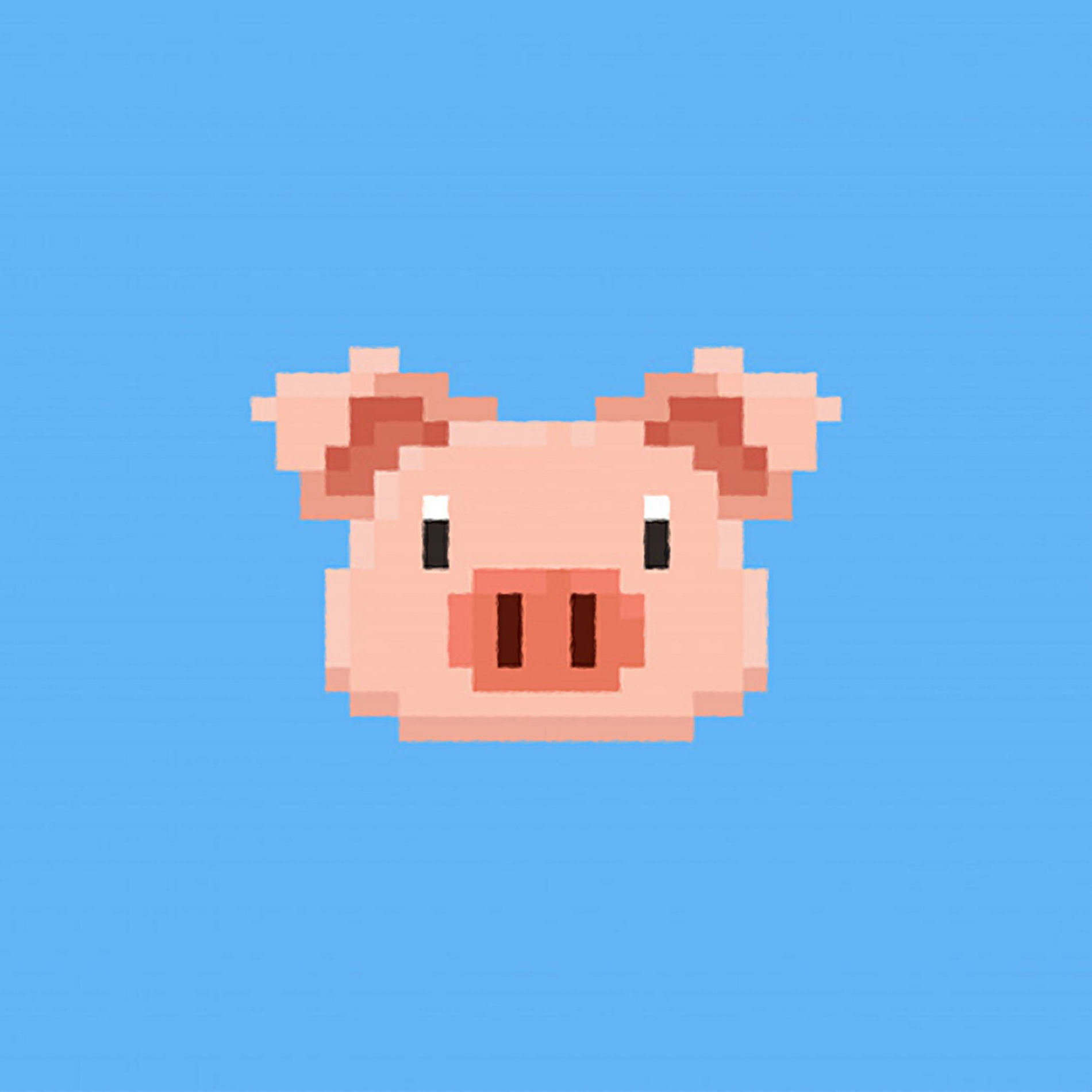 Album cover of Pixel Pig