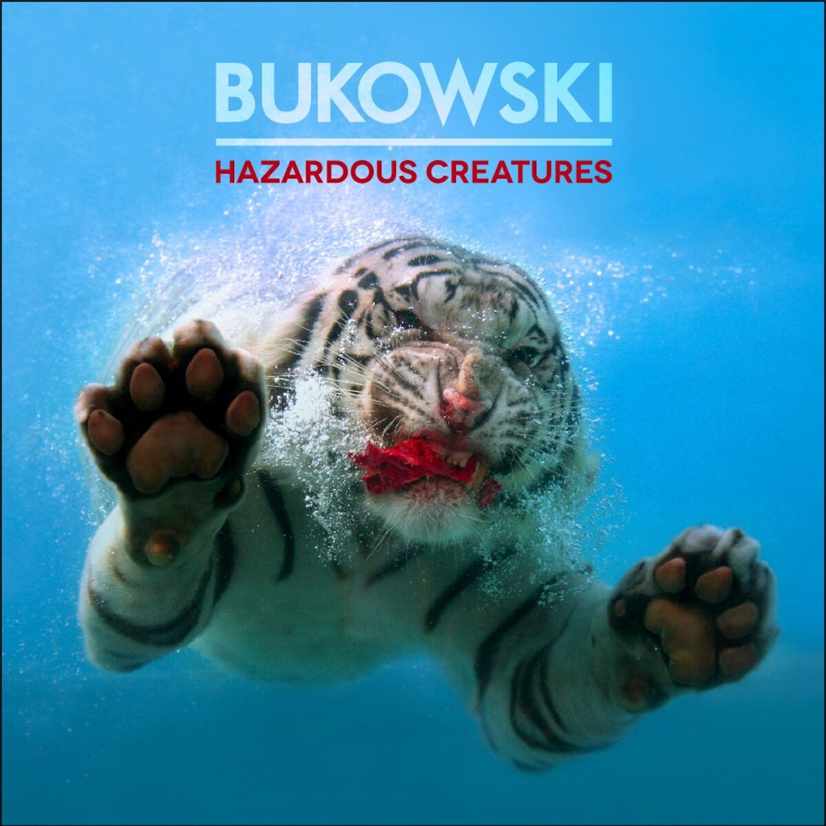 Album cover of Hazardous Creatures