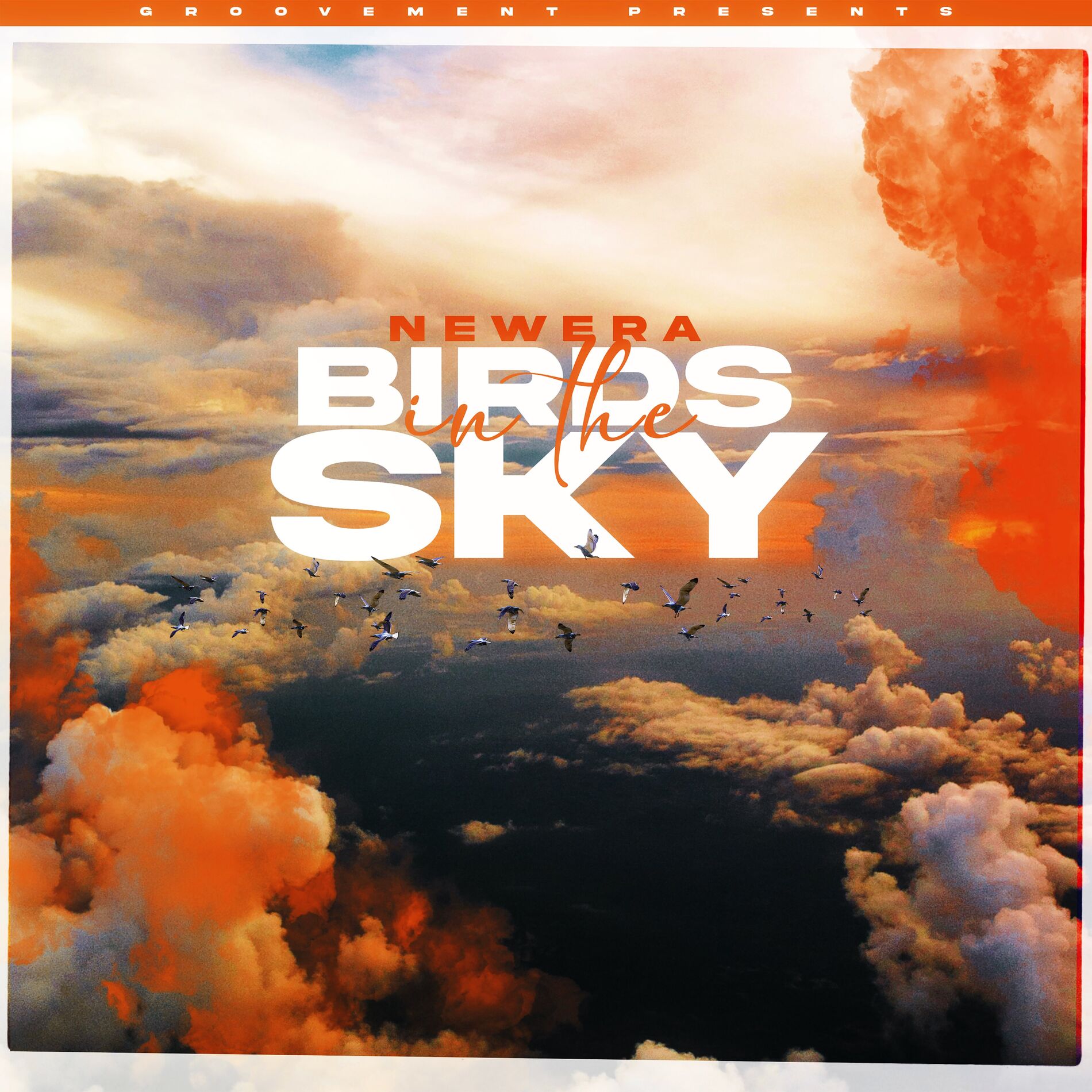Album cover of Birds In The Sky (Protein Bor Remix)