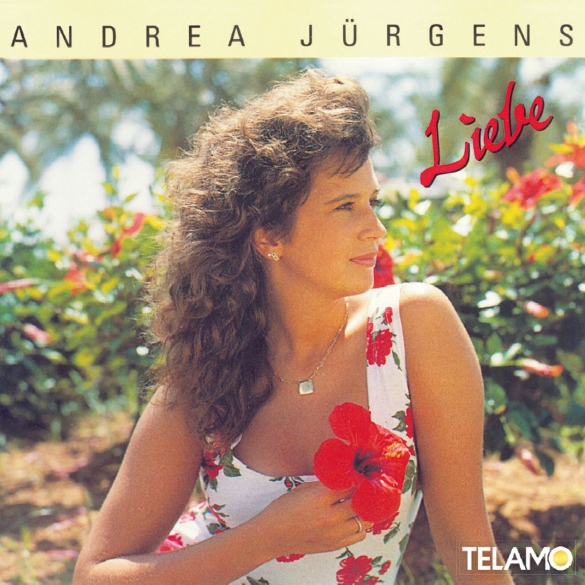 Album cover of Liebe