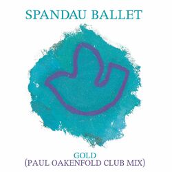 Cover of Gold (Paul Oakenfold Club Mix)