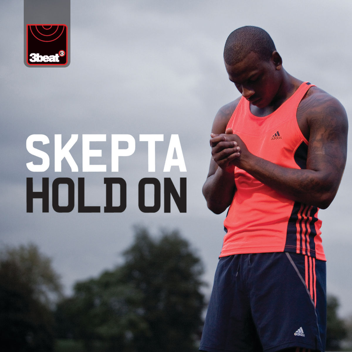 Album cover of Hold On