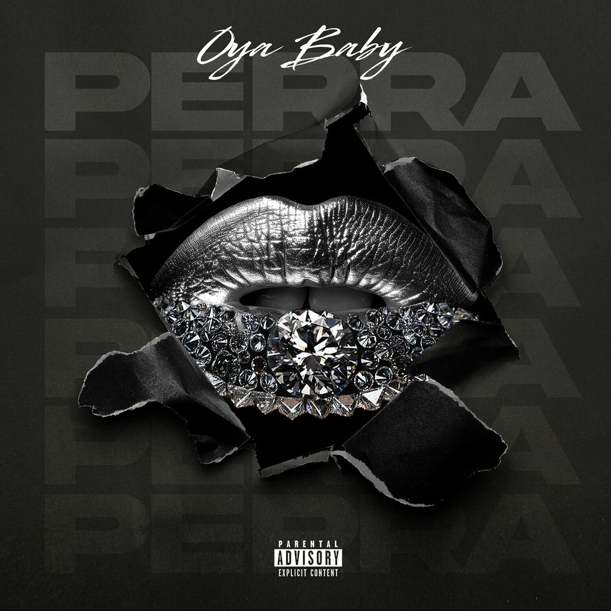 Album cover of PERRA