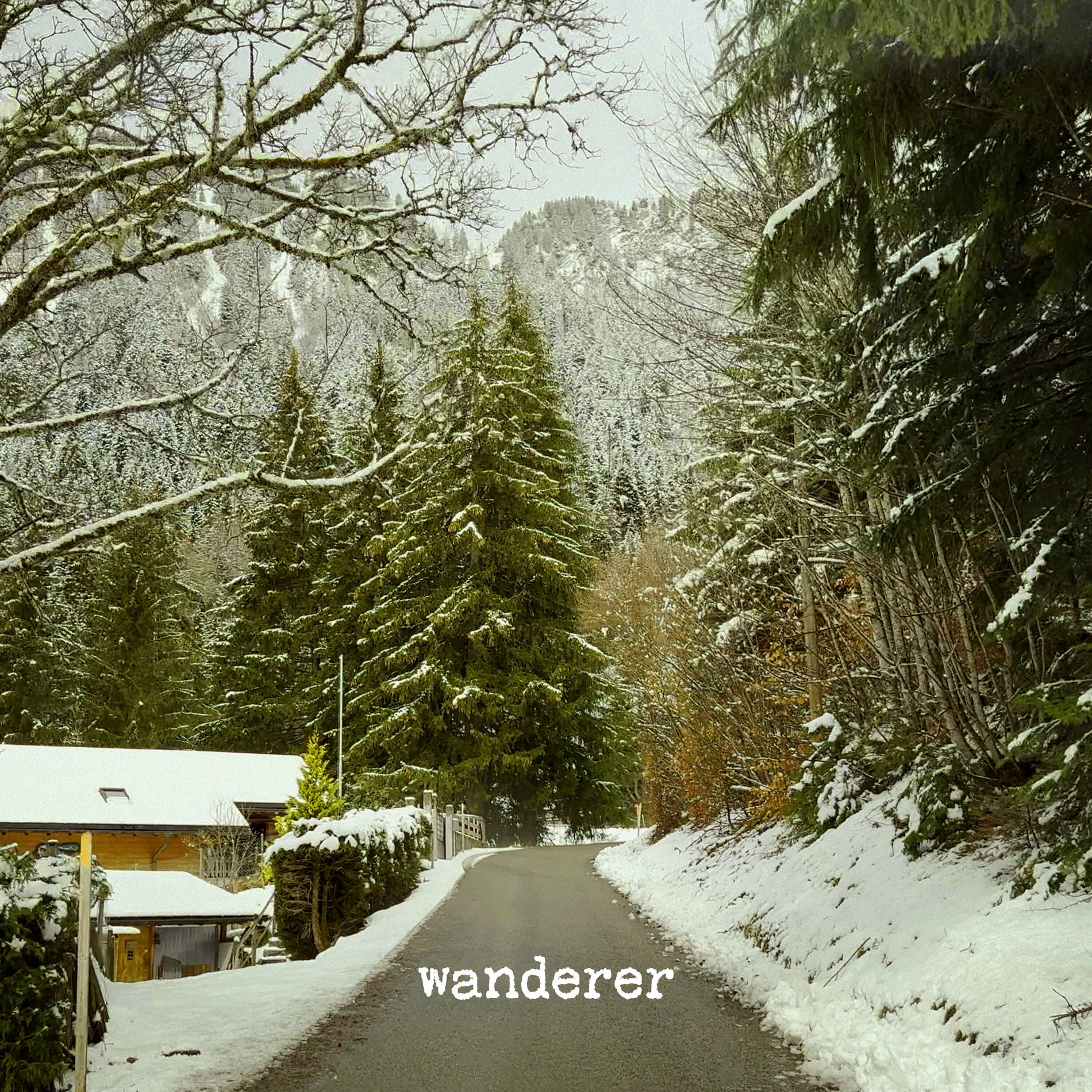 Album cover of Wanderer