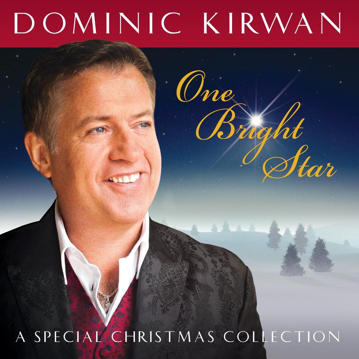 Album cover of One Bright Star