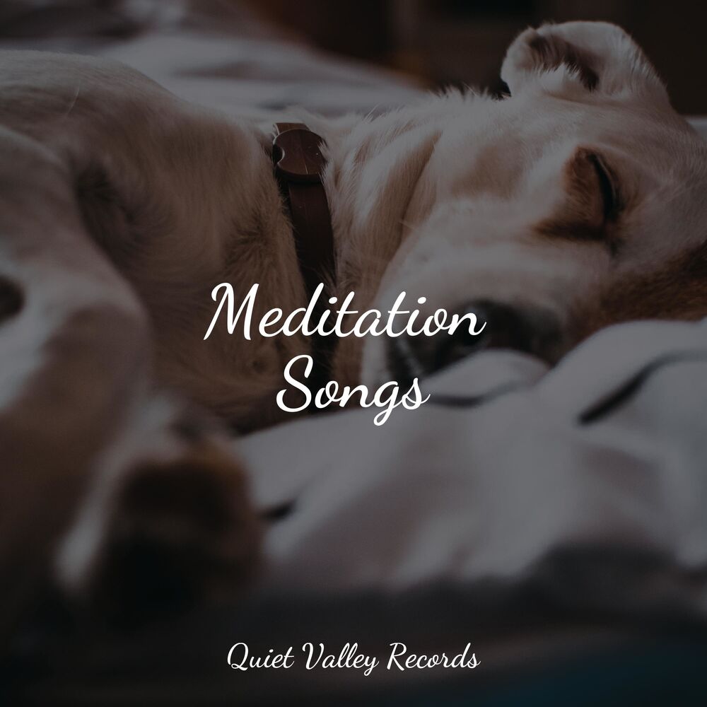 Picture of Meditation Songs