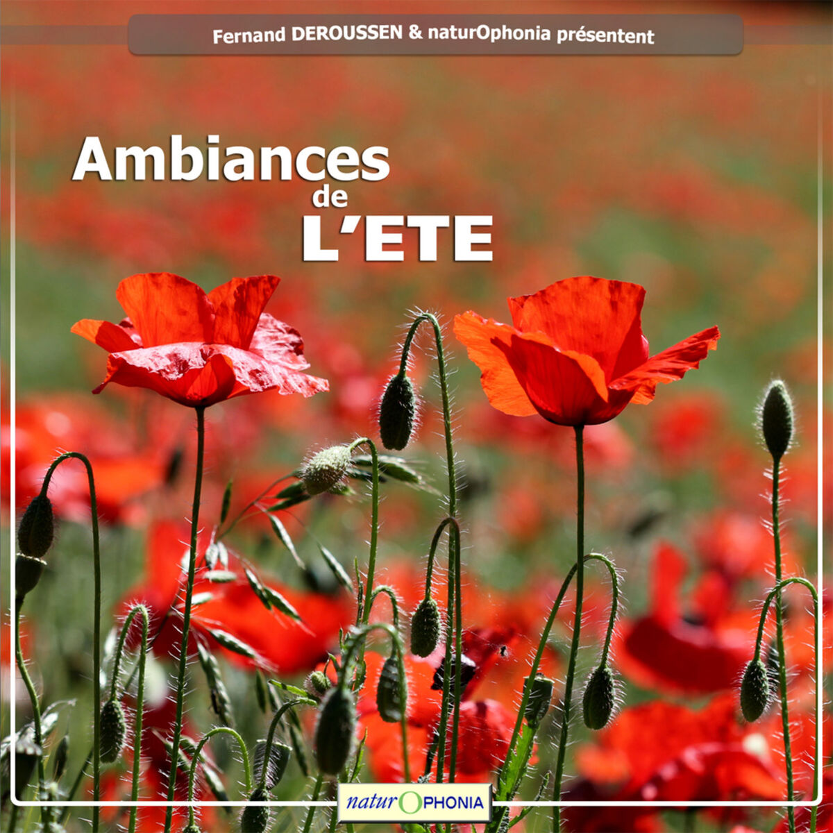 Album cover of Naturophonia: Ambiances de l'été
