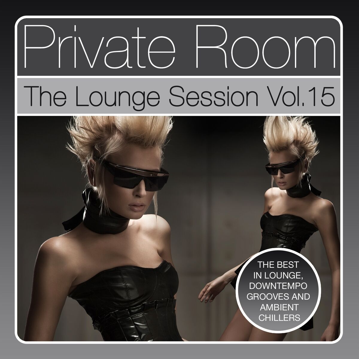 Album cover of Private Room - The Lounge Session, Vol. 15 (The Best in Lounge, Downtempo Grooves and Ambient Chillers)