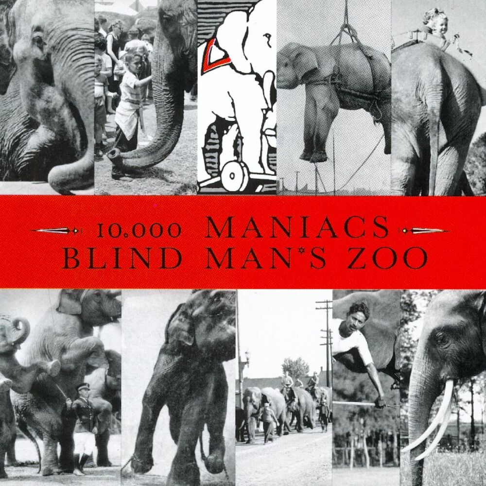 Picture of Blind Man's Zoo