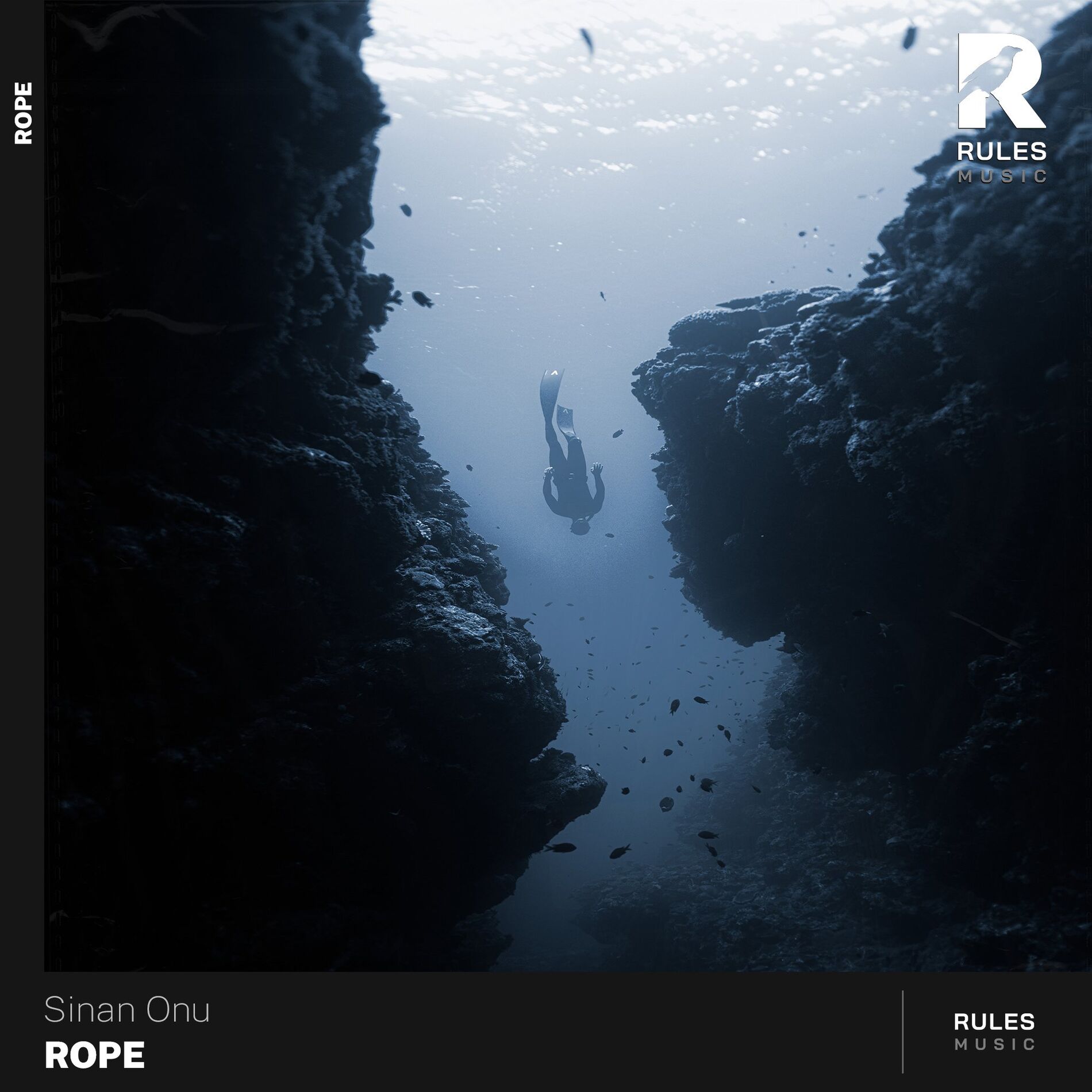 Album cover of Rope