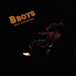 Cover of Bboys Bee Housing