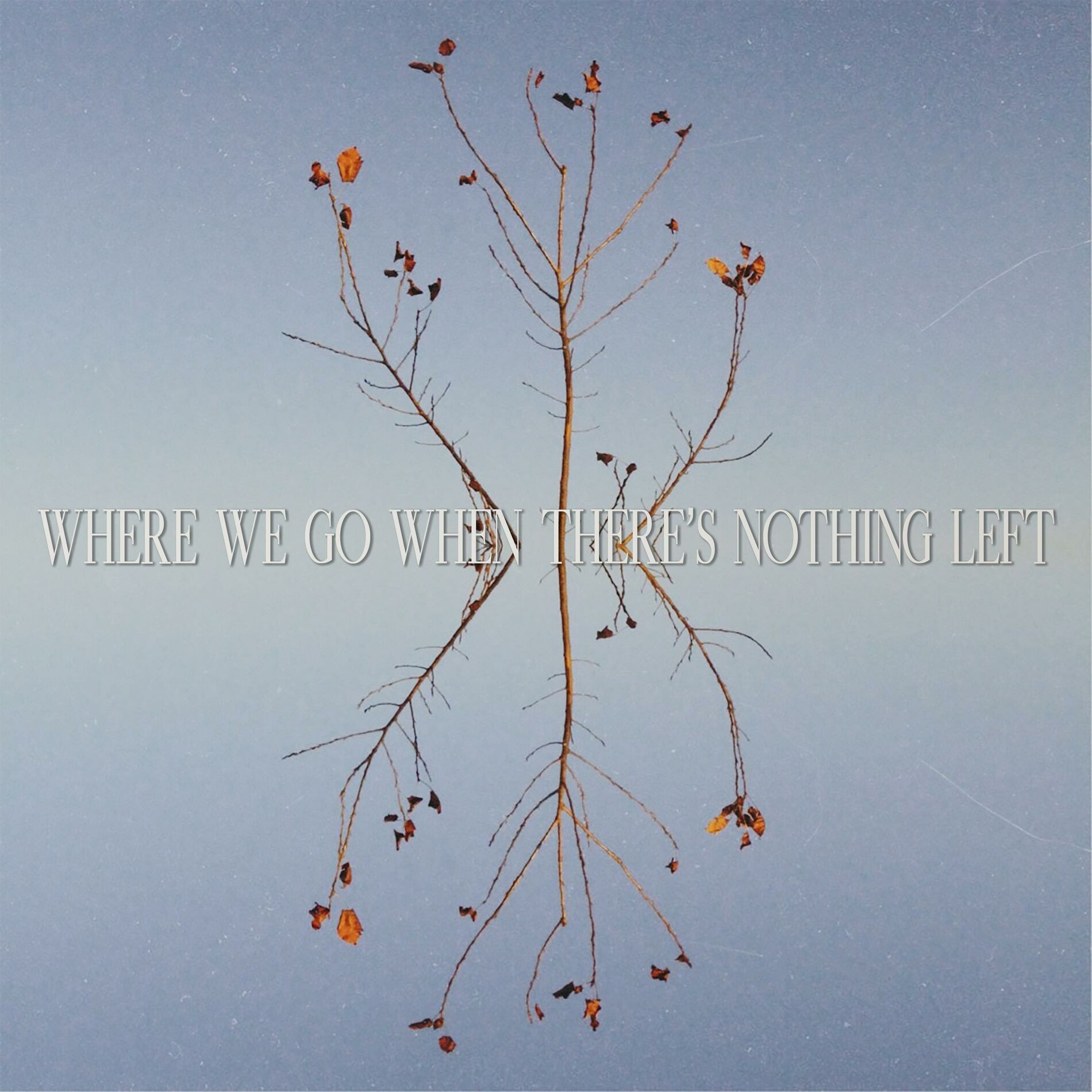 Album cover of Where We Go When There's Nothing Left