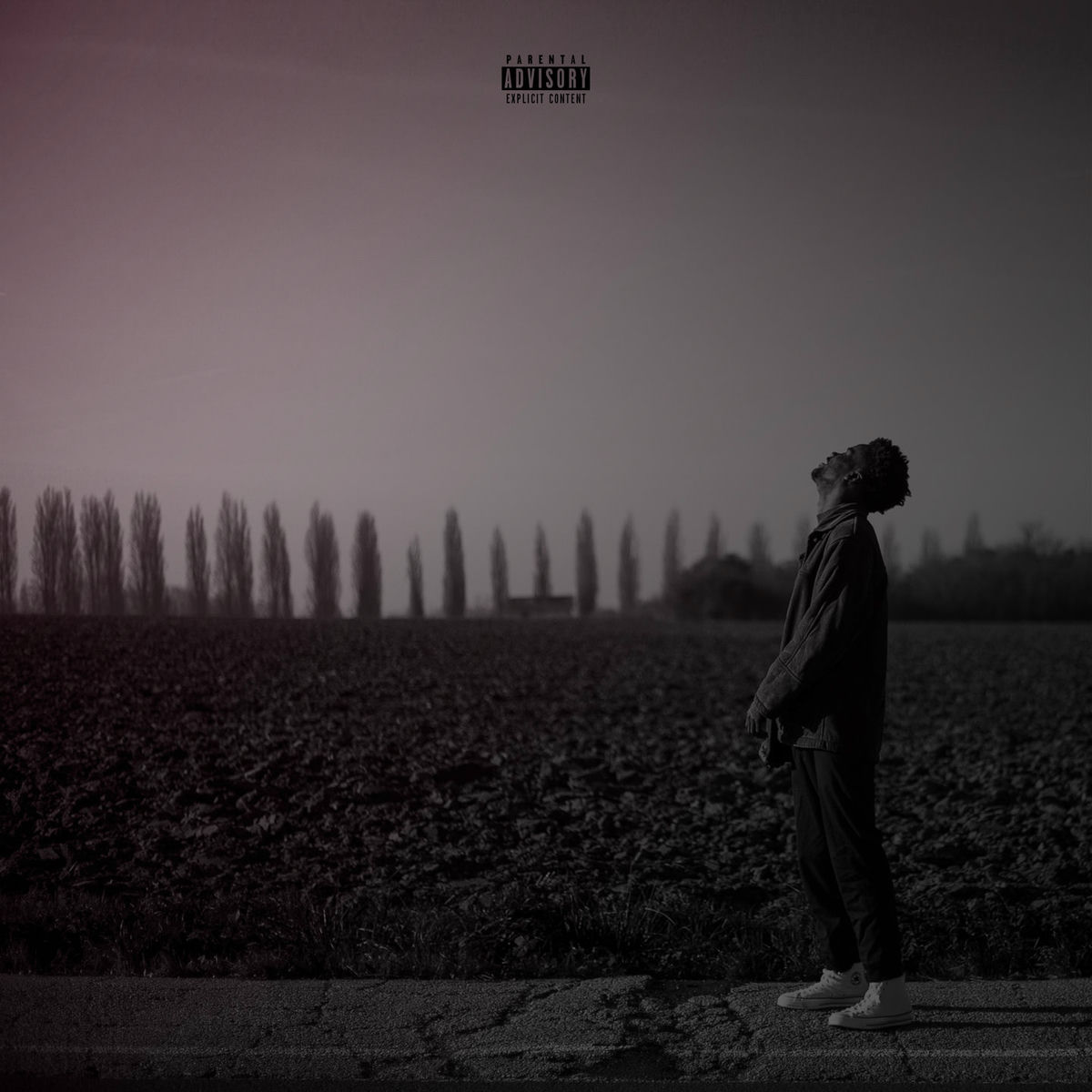 Album cover of Atychiphobia: The Higher High