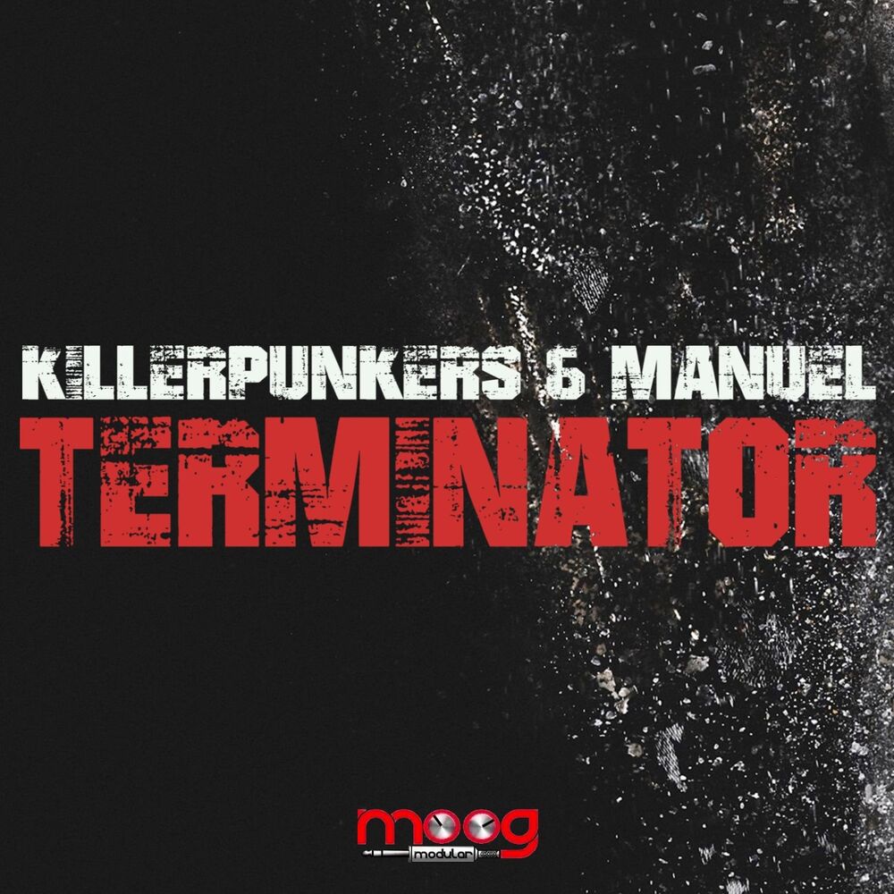 Picture of Terminator