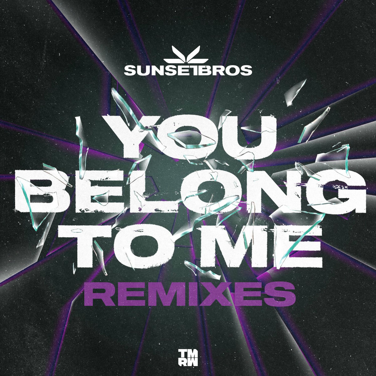 Album cover of You Belong To Me (Remixes)