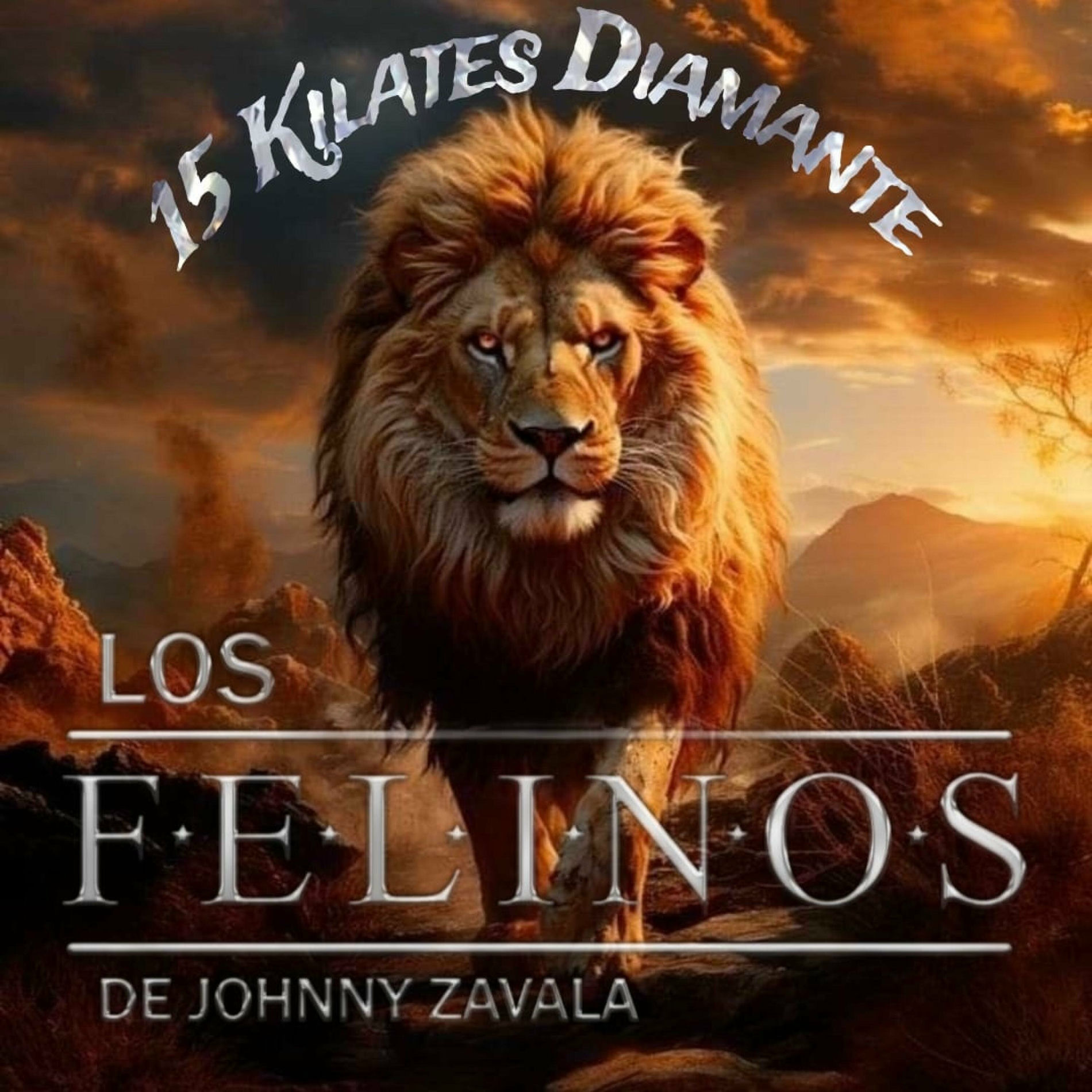 Album cover of 15 Kilates Diamante