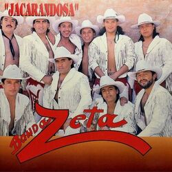 Cover of Jacarandosa