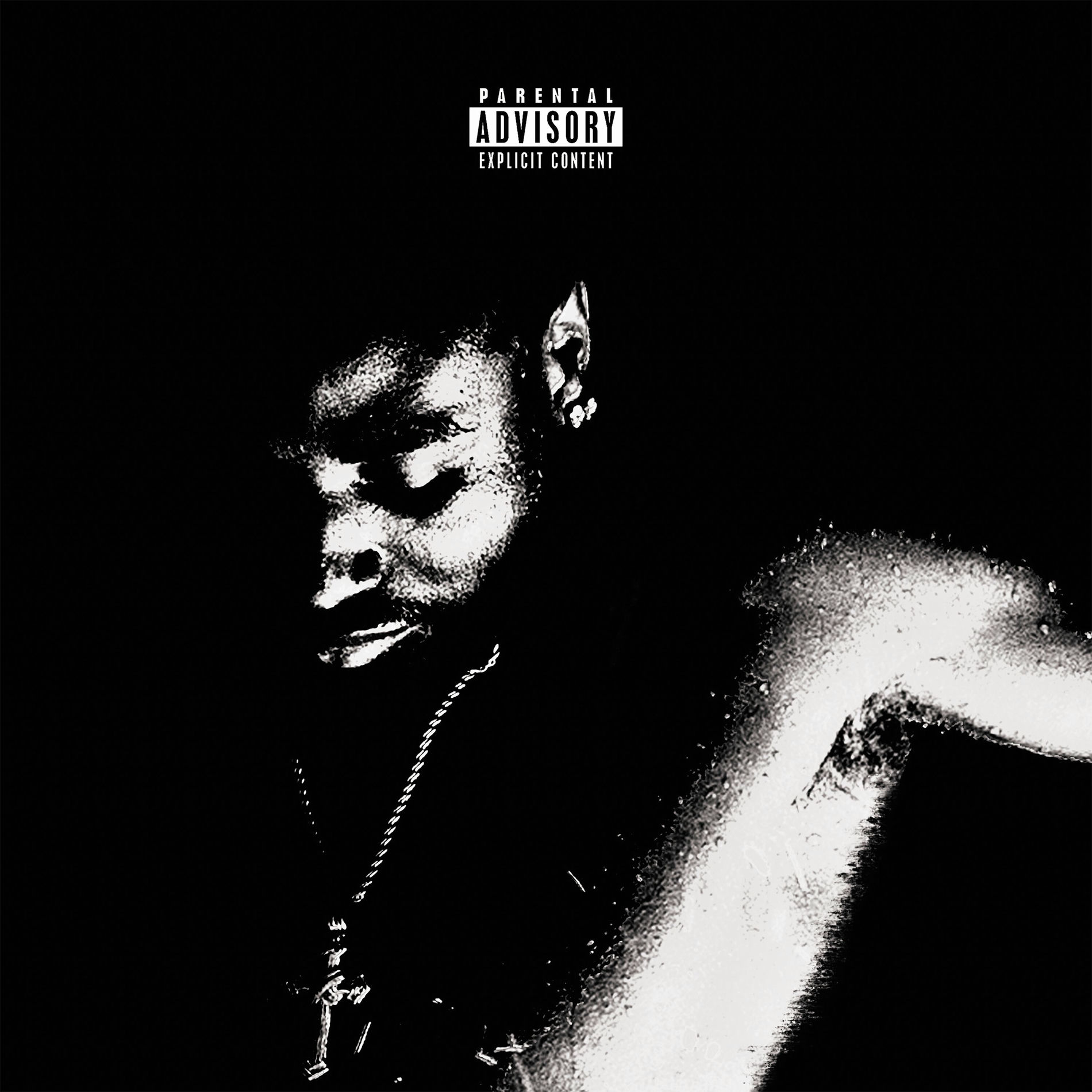 Album cover of SLIZZY SLANG