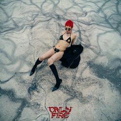 Cover of Puta