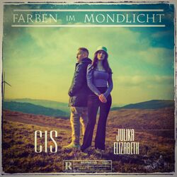 Cover of Farben im Mondlicht