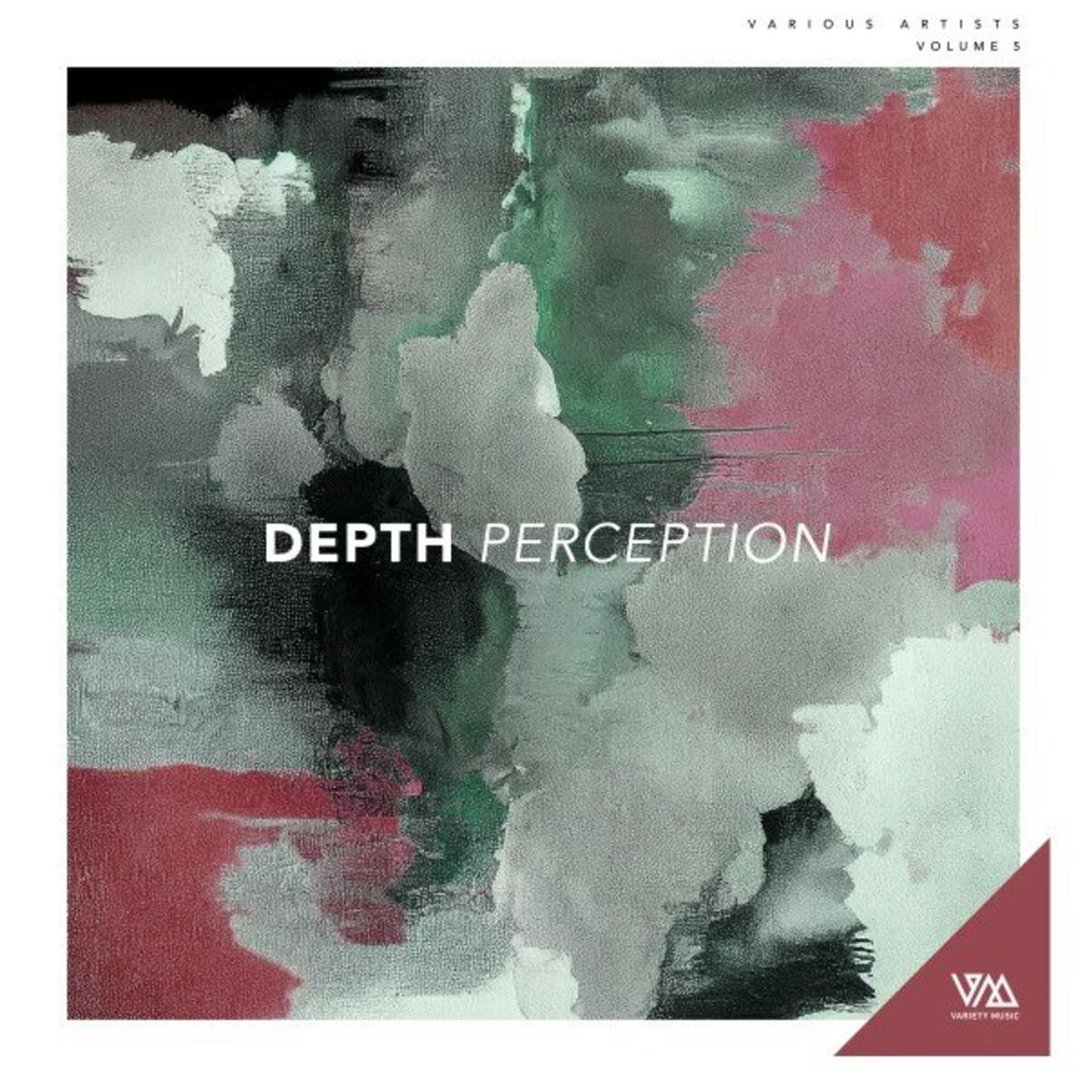 Album cover of Depth Perception, Vol. 5