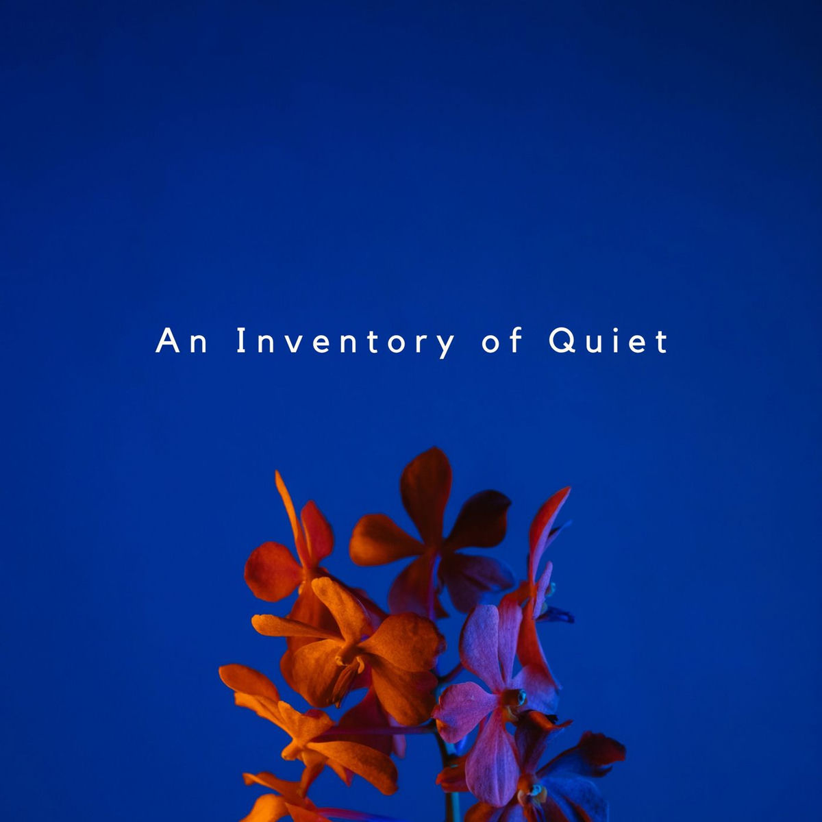 Album cover of An Inventory of Quiet