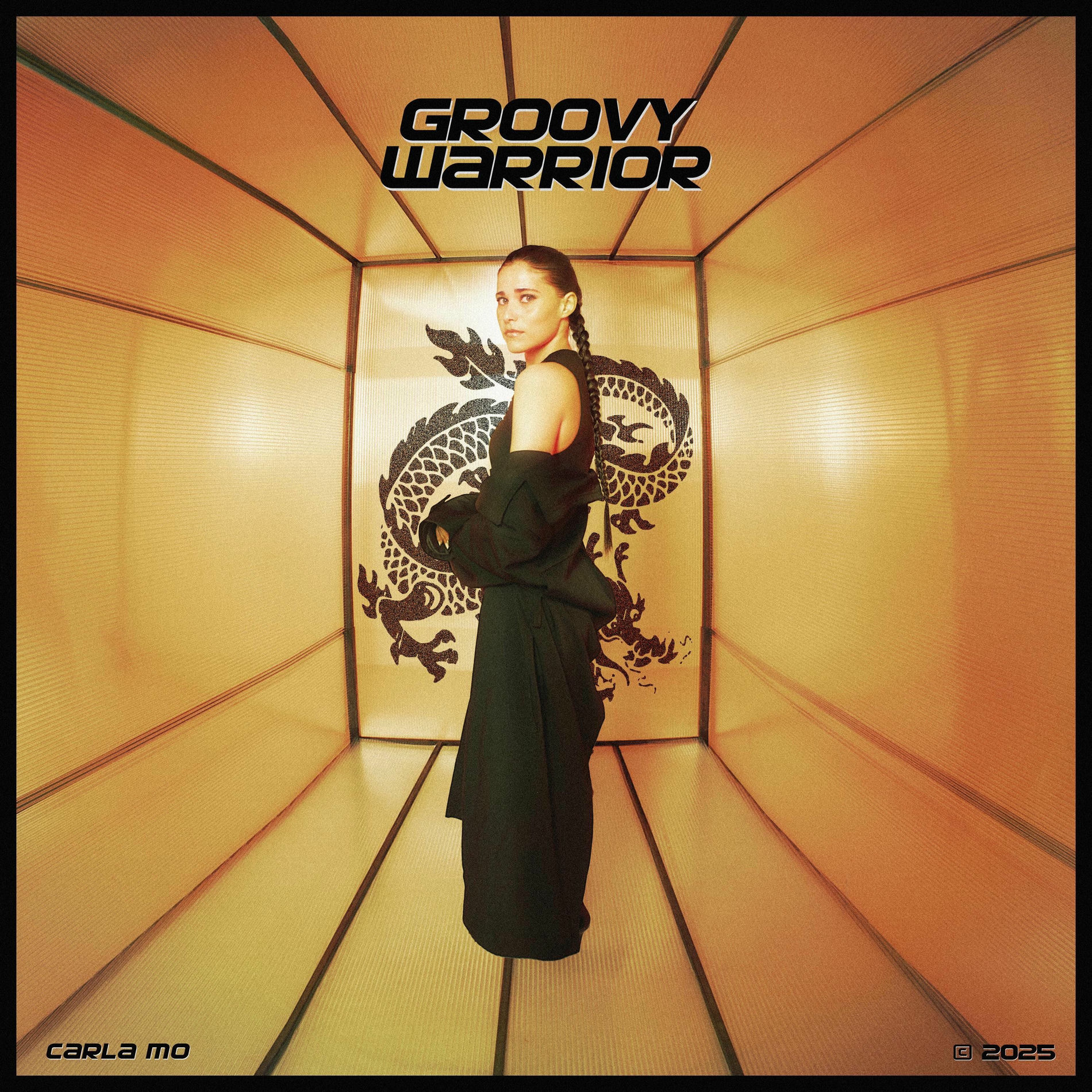 Album cover of Groovy Warrior