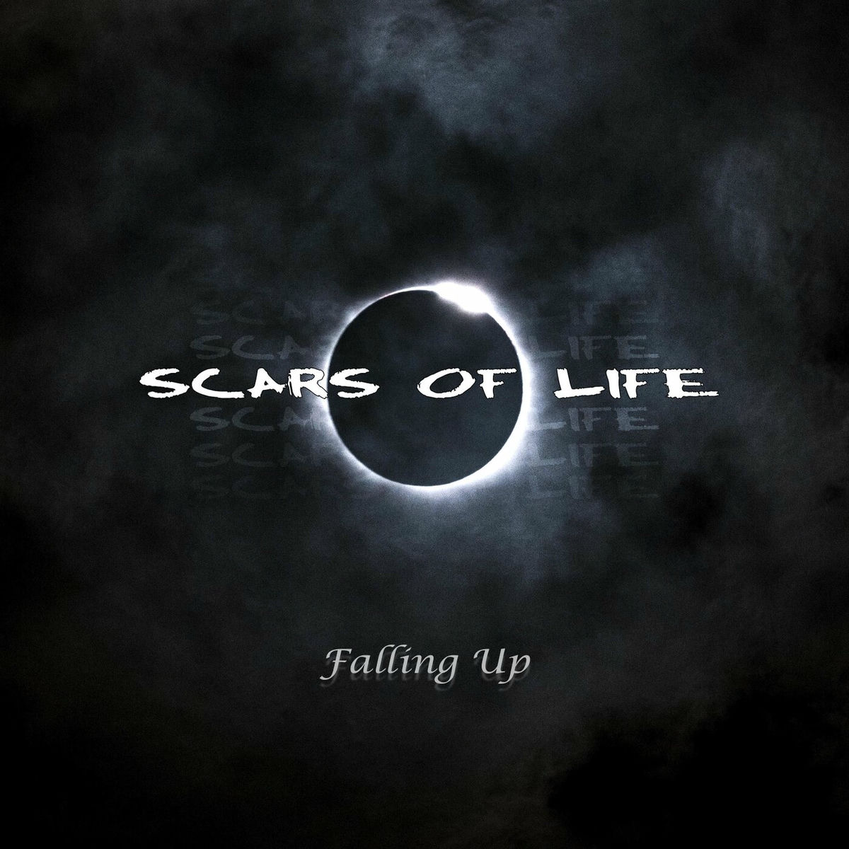 Album cover of Falling Up