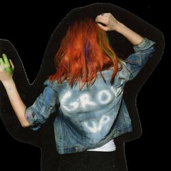 Cover of Paramore (Deluxe Edition)