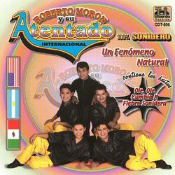 Cover of Un Fenómeno Natural