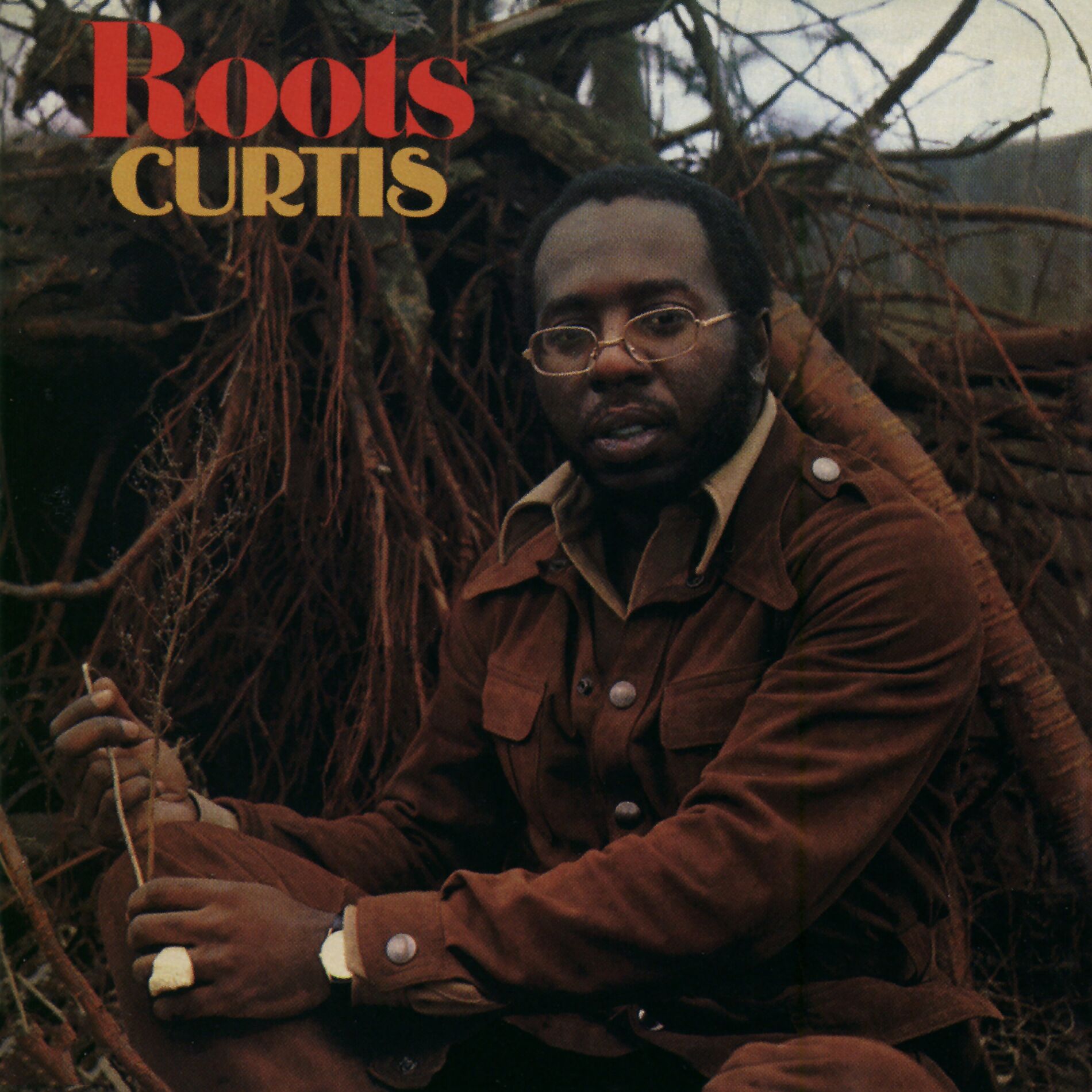 Album picture of Roots