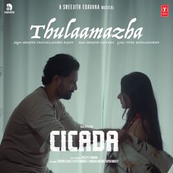 Cover of Thulaamazha (From "Cicada")