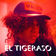 El Tigeraso by Diplo album cover